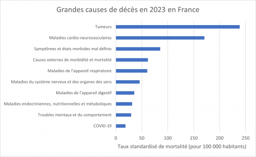 mortalité; analyse,statistique,france